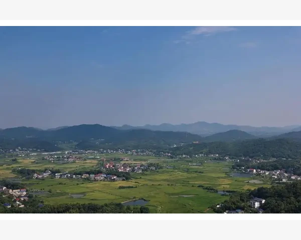 调理脾胃，让你告别消化不良，中成药如何帮助你恢复健康？
